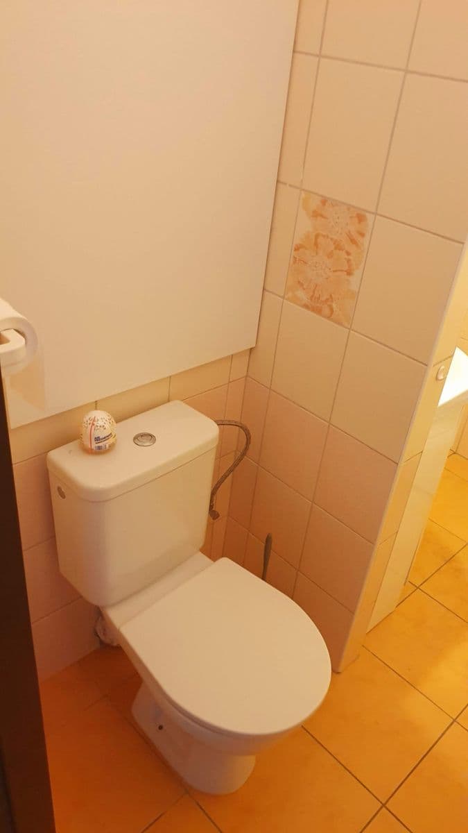 1 bedroom with open-plan kitchen flat to rent, 45 m², Nad Ohradou, Prague, Prague 1 bedroom with open-plan kitchen flat to rent, 45 m², Nad Ohradou, Prague, Prague