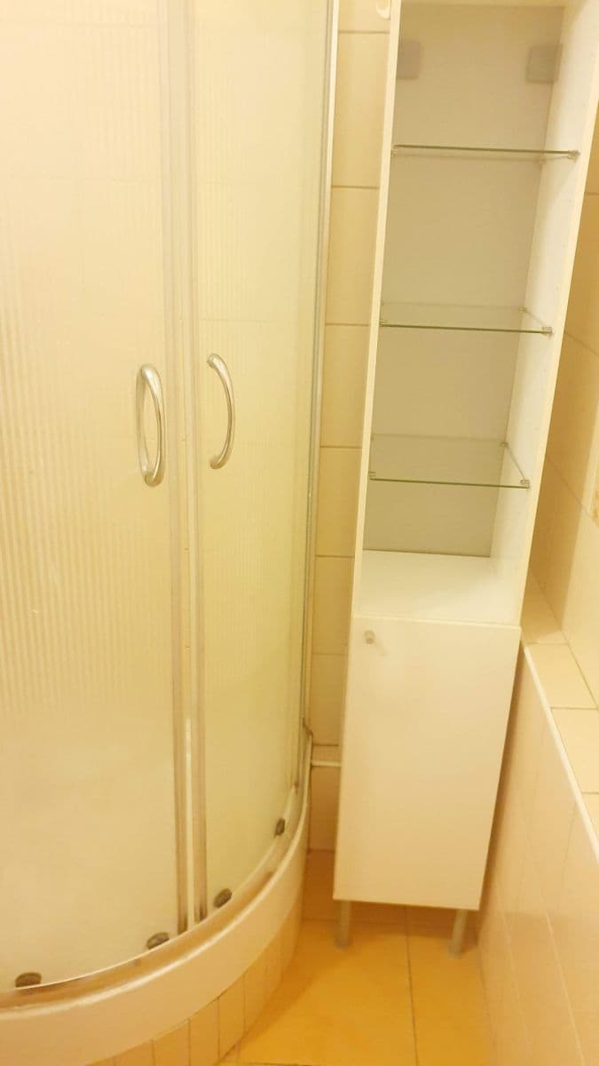 1 bedroom with open-plan kitchen flat to rent, 45 m², Nad Ohradou, Prague, Prague 1 bedroom with open-plan kitchen flat to rent, 45 m², Nad Ohradou, Prague, Prague