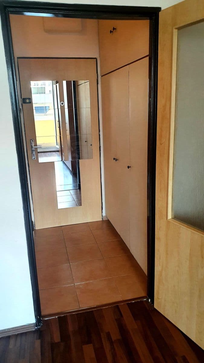 1 bedroom with open-plan kitchen flat to rent, 45 m², Nad Ohradou, Prague, Prague 1 bedroom with open-plan kitchen flat to rent, 45 m², Nad Ohradou, Prague, Prague