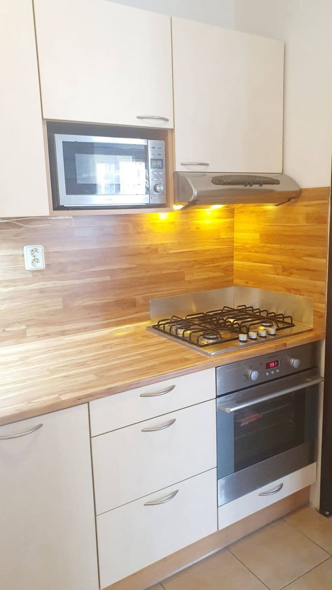 1 bedroom with open-plan kitchen flat to rent, 45 m², Nad Ohradou, Prague, Prague 1 bedroom with open-plan kitchen flat to rent, 45 m², Nad Ohradou, Prague, Prague