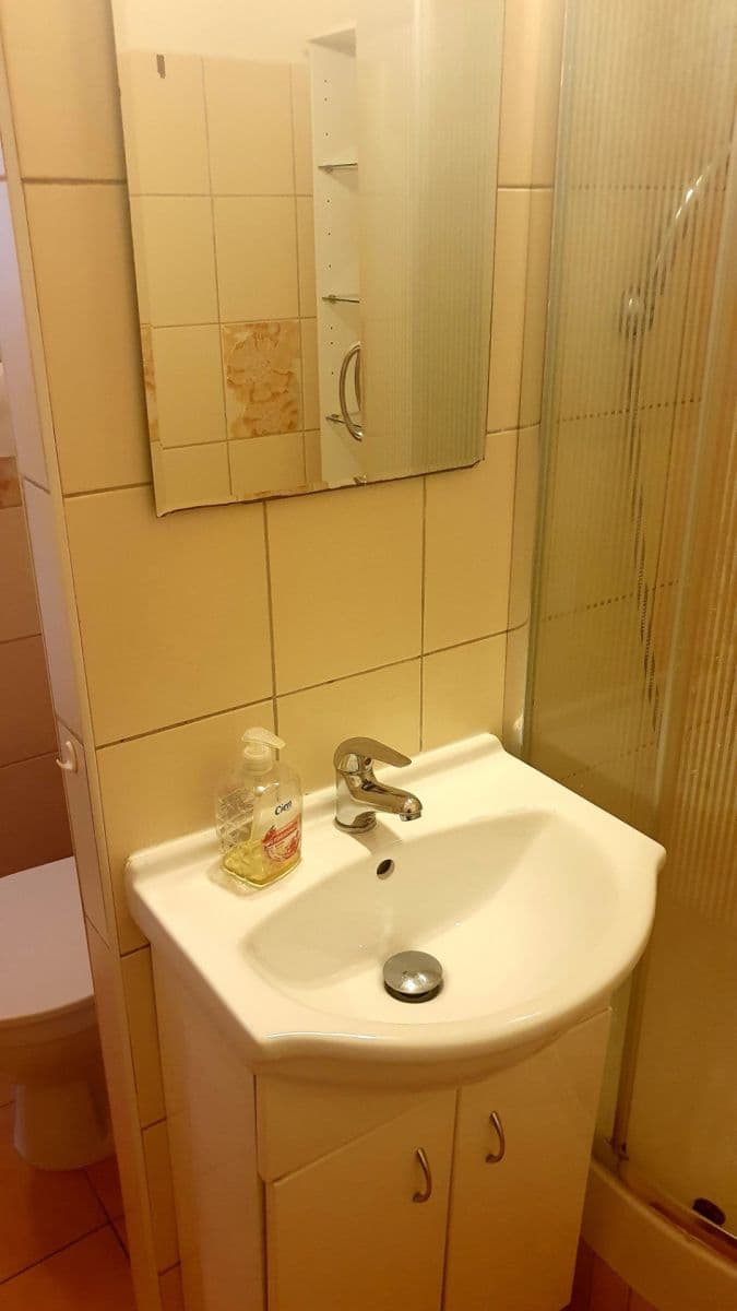 1 bedroom with open-plan kitchen flat to rent, 45 m², Nad Ohradou, Prague, Prague 1 bedroom with open-plan kitchen flat to rent, 45 m², Nad Ohradou, Prague, Prague