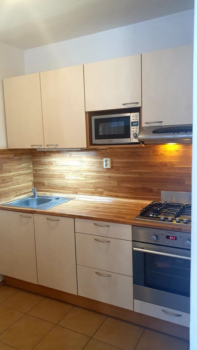 1 bedroom with open-plan kitchen flat to rent, 45 m², Nad Ohradou, Prague, Prague 1 bedroom with open-plan kitchen flat to rent, 45 m², Nad Ohradou, Prague, Prague