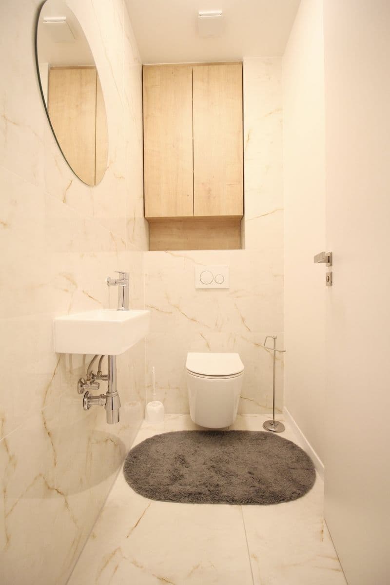1 bedroom with open-plan kitchen flat to rent, 54 m², Na Zámyšli, Prague, Prague 1 bedroom with open-plan kitchen flat to rent, 54 m², Na Zámyšli, Prague, Prague