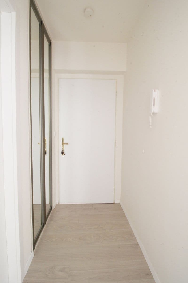 1 bedroom with open-plan kitchen flat to rent, 54 m², Na Zámyšli, Prague, Prague 1 bedroom with open-plan kitchen flat to rent, 54 m², Na Zámyšli, Prague, Prague