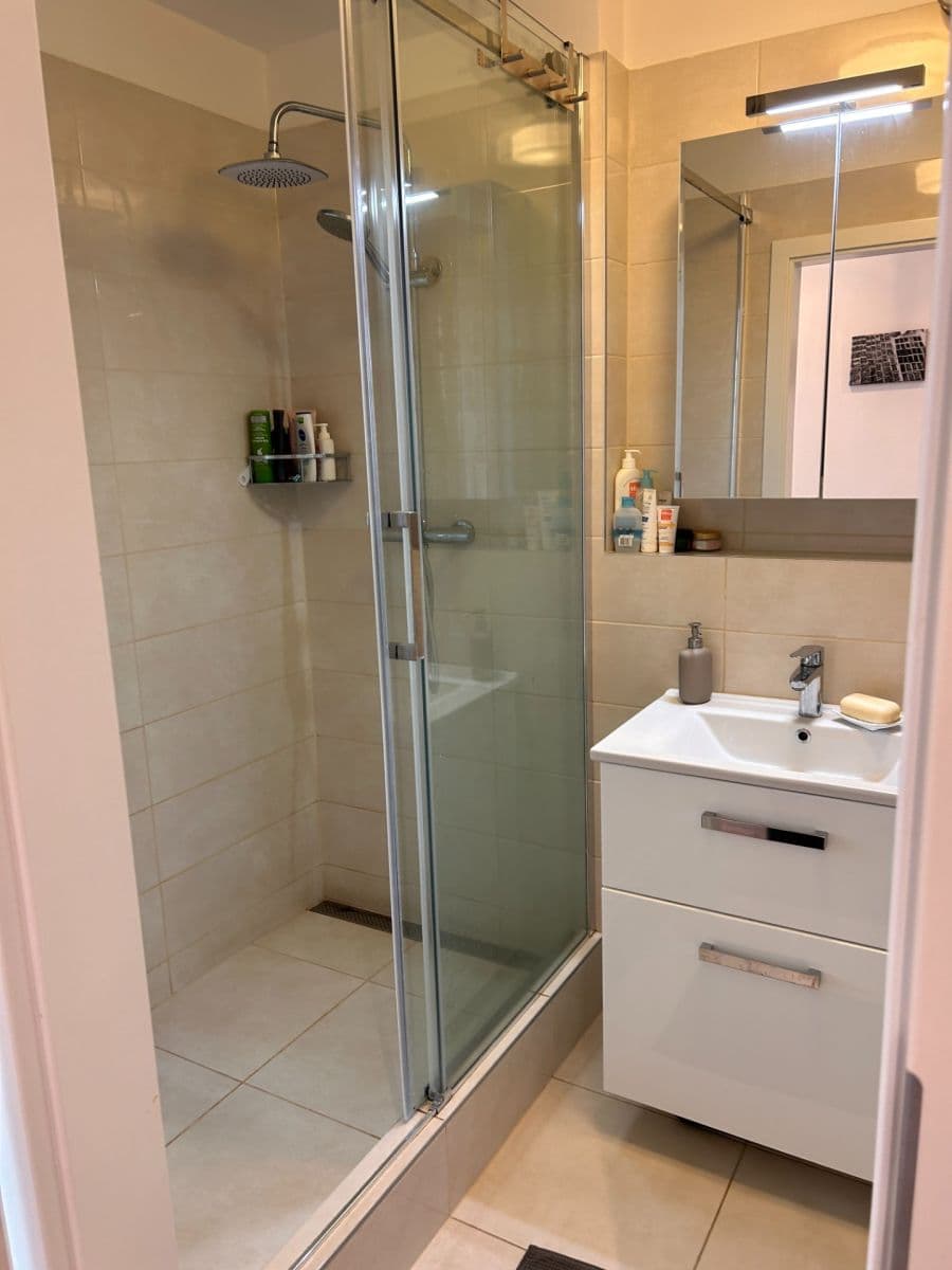 1 bedroom with open-plan kitchen flat for sale, 59 m², Pískařská, Prague, Prague 1 bedroom with open-plan kitchen flat for sale, 59 m², Pískařská, Prague, Prague