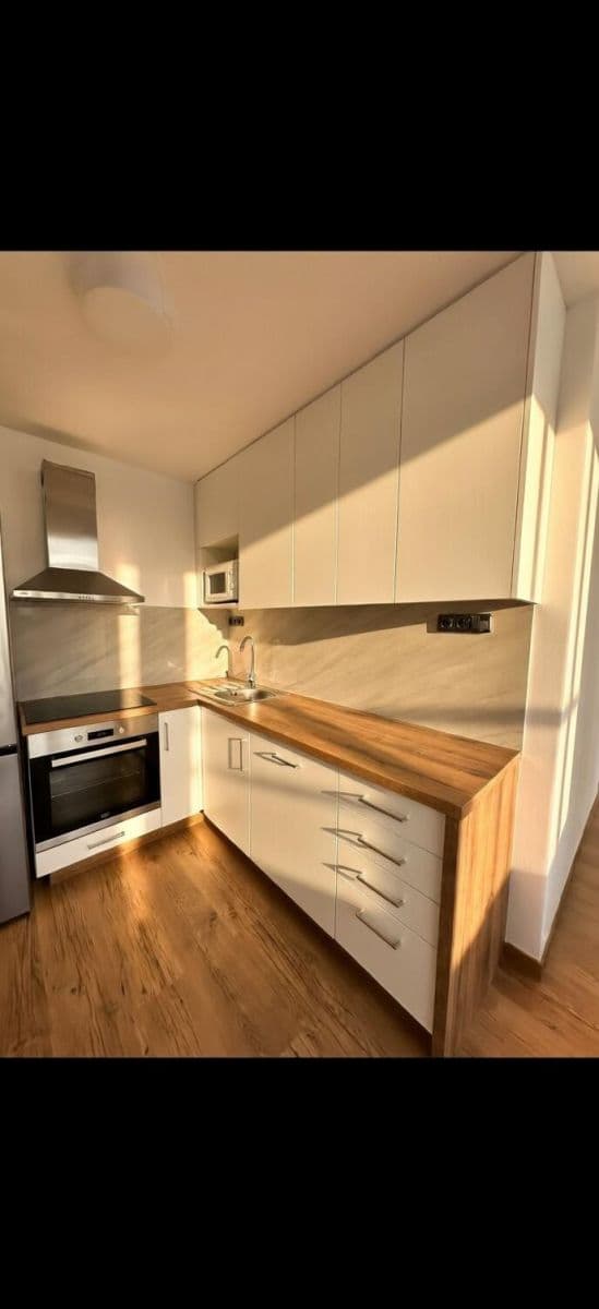 1 bedroom with open-plan kitchen flat for sale, 40 m², Polská, Kladno, Středočeský Region 1 bedroom with open-plan kitchen flat for sale, 40 m², Polská, Kladno, Středočeský Region