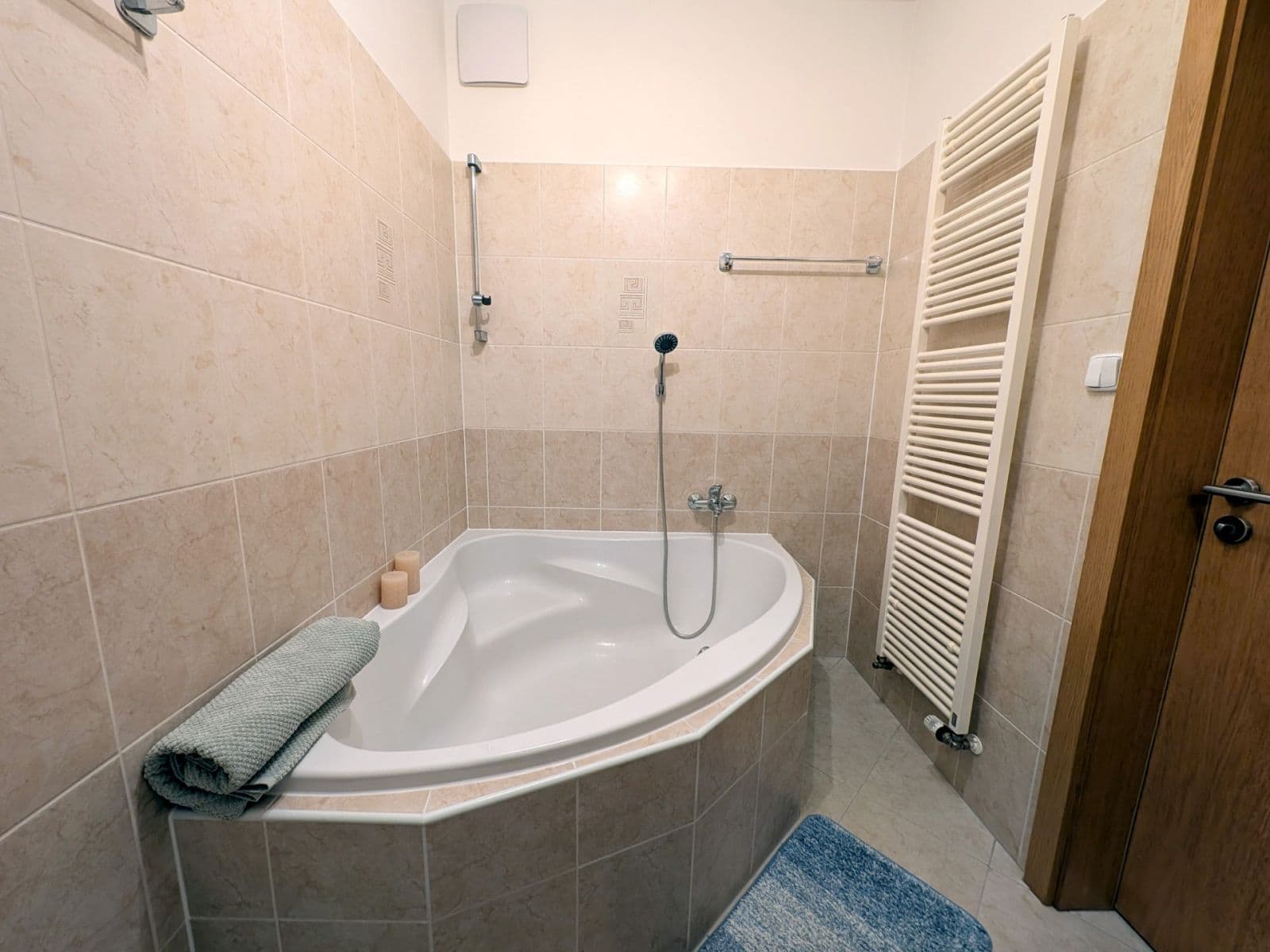 1 bedroom with open-plan kitchen flat to rent, 55 m², Míšovická, Prague, Prague 1 bedroom with open-plan kitchen flat to rent, 55 m², Míšovická, Prague, Prague