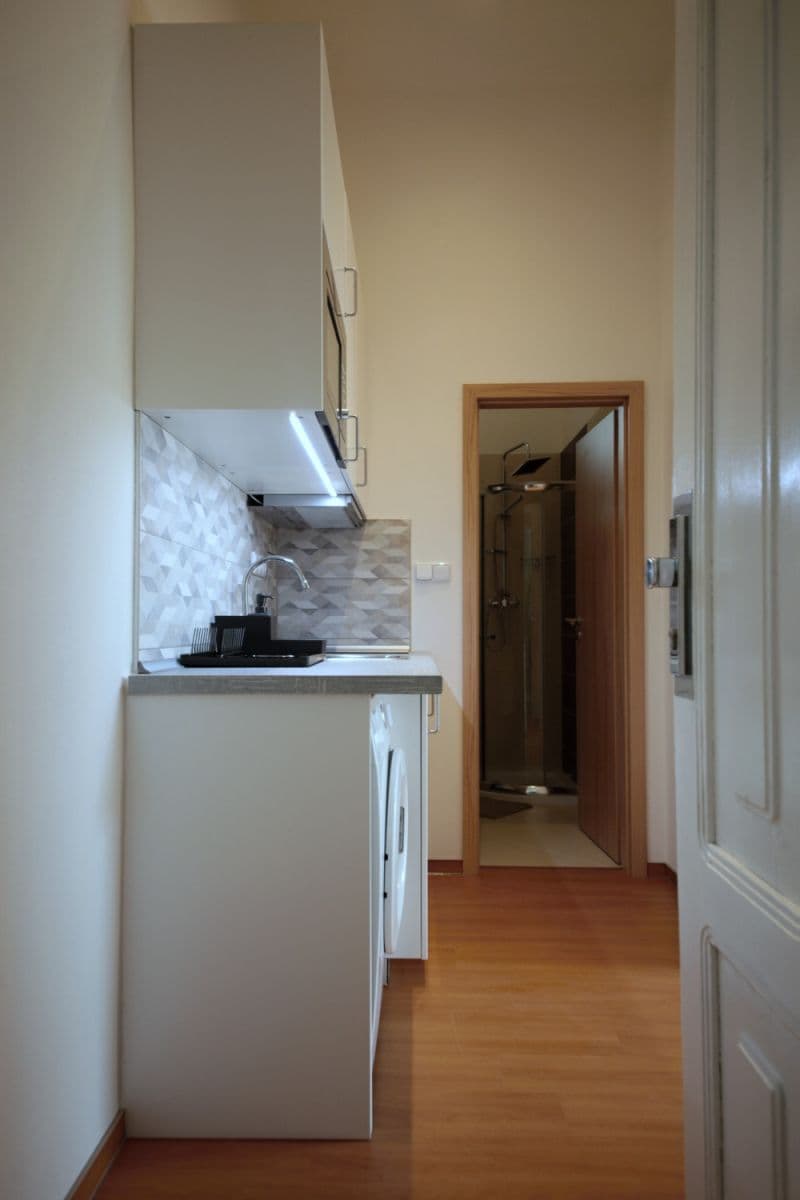 flat to rent, 24 m², Nádražní, Prague, Prague flat to rent, 24 m², Nádražní, Prague, Prague