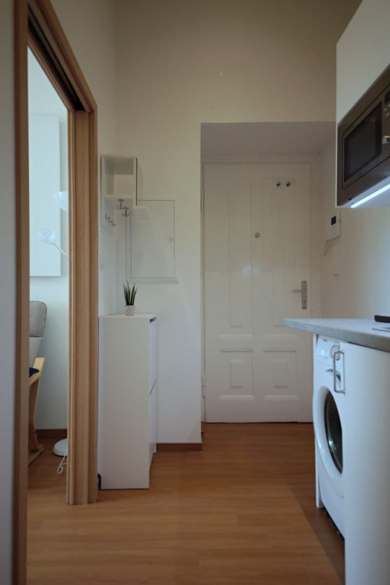 flat to rent, 24 m², Nádražní, Prague, Prague flat to rent, 24 m², Nádražní, Prague, Prague