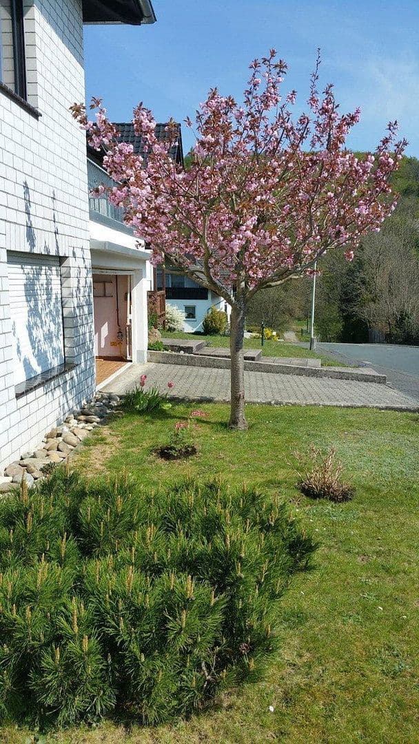 house for sale, 283 m², Mengerskirchen, Hesse house for sale, 283 m², Mengerskirchen, Hesse