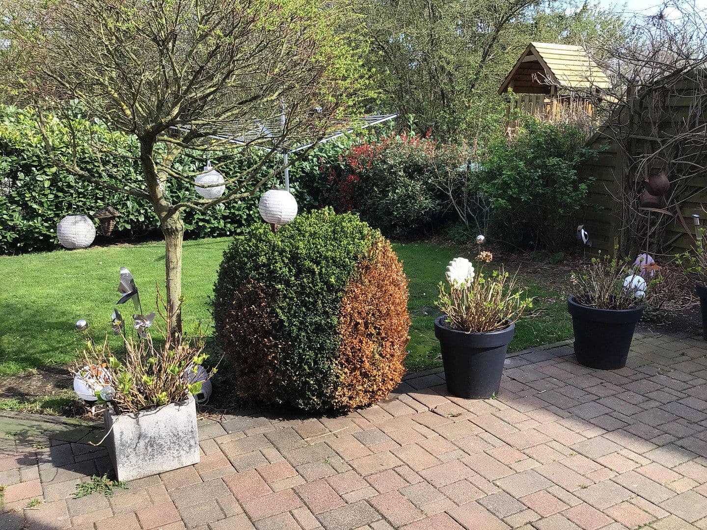 house for sale, 126 m², Im Ginsterfeld 19, Mechernich, North Rhine-Westphalia house for sale, 126 m², Im Ginsterfeld 19, Mechernich, North Rhine-Westphalia