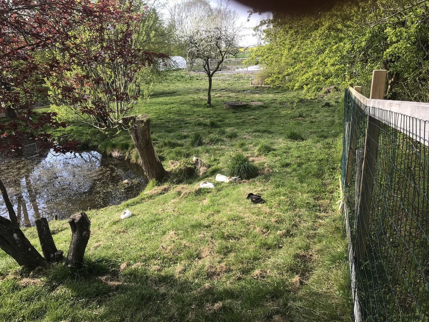 house for sale, 460 m², Wangels, Schleswig-Holstein house for sale, 460 m², Wangels, Schleswig-Holstein