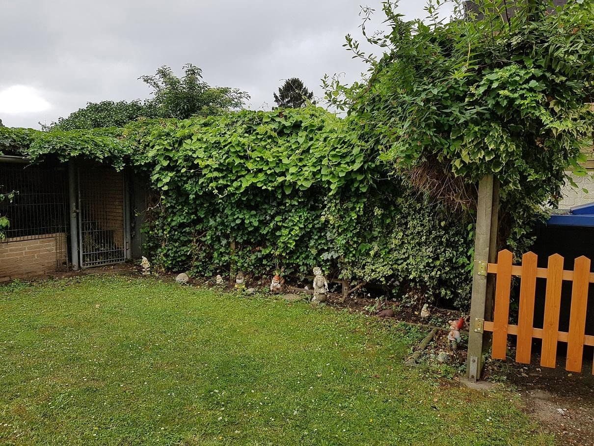 4 bedroom flat to rent, 100 m², Gartsträucherstr.113, Duisburg, North Rhine-Westphalia 4 bedroom flat to rent, 100 m², Gartsträucherstr.113, Duisburg, North Rhine-Westphalia