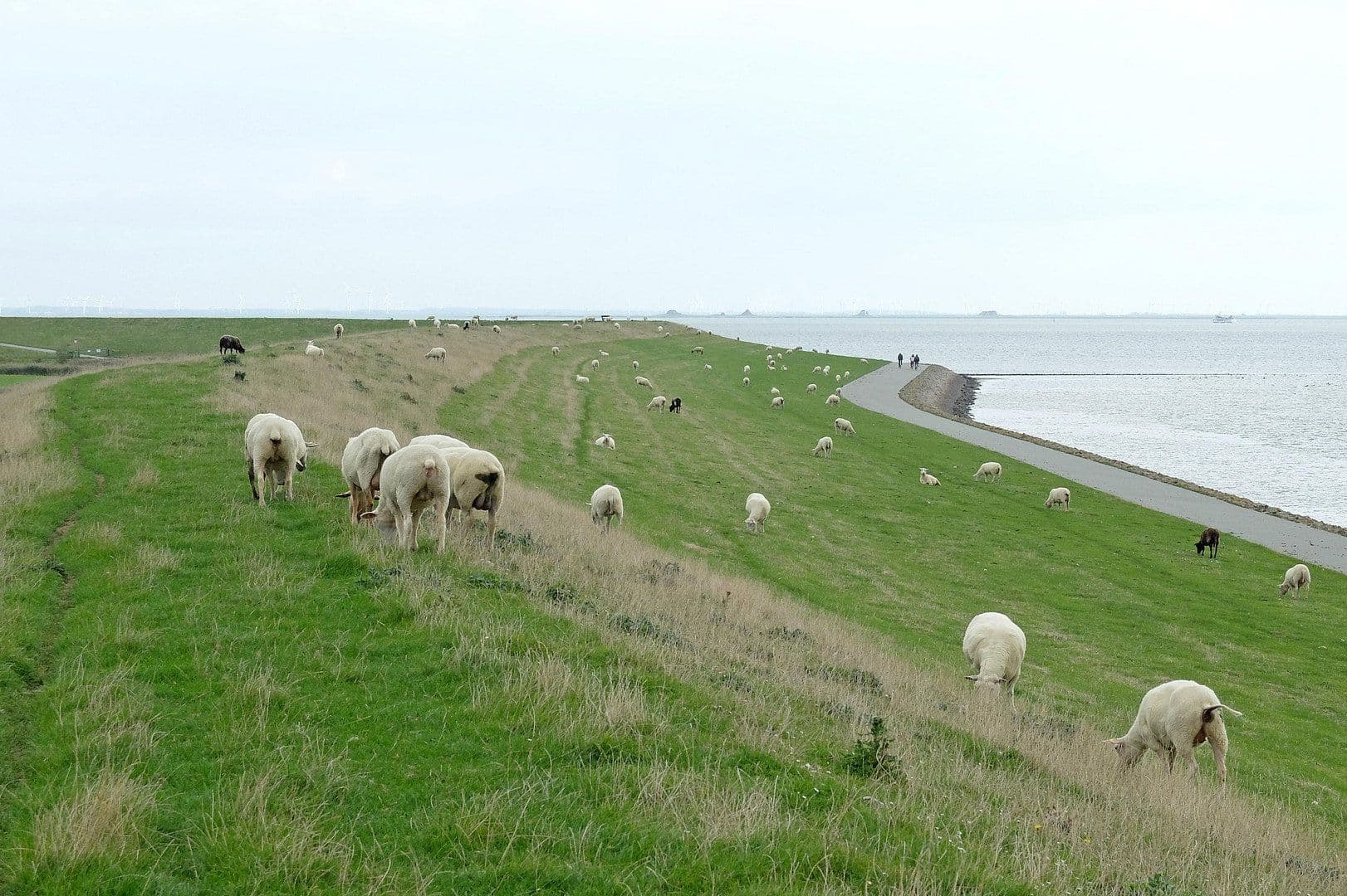 house for sale, 130 m², Pellworm, Schleswig-Holstein house for sale, 130 m², Pellworm, Schleswig-Holstein