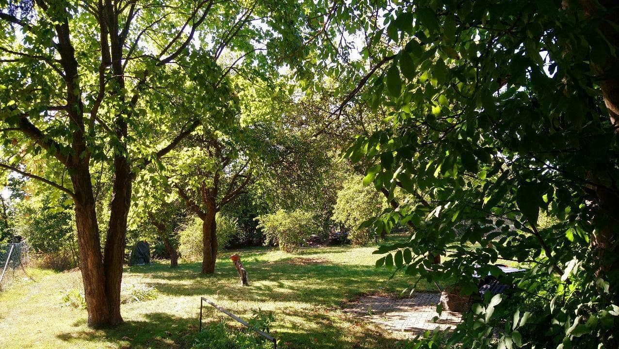 house for sale, 120 m², Zeulenroda-Triebes, Thuringia house for sale, 120 m², Zeulenroda-Triebes, Thuringia