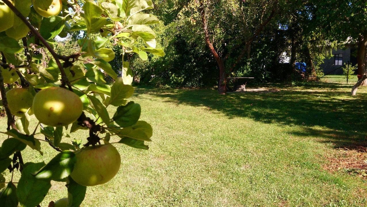 house for sale, 120 m², Zeulenroda-Triebes, Thuringia house for sale, 120 m², Zeulenroda-Triebes, Thuringia