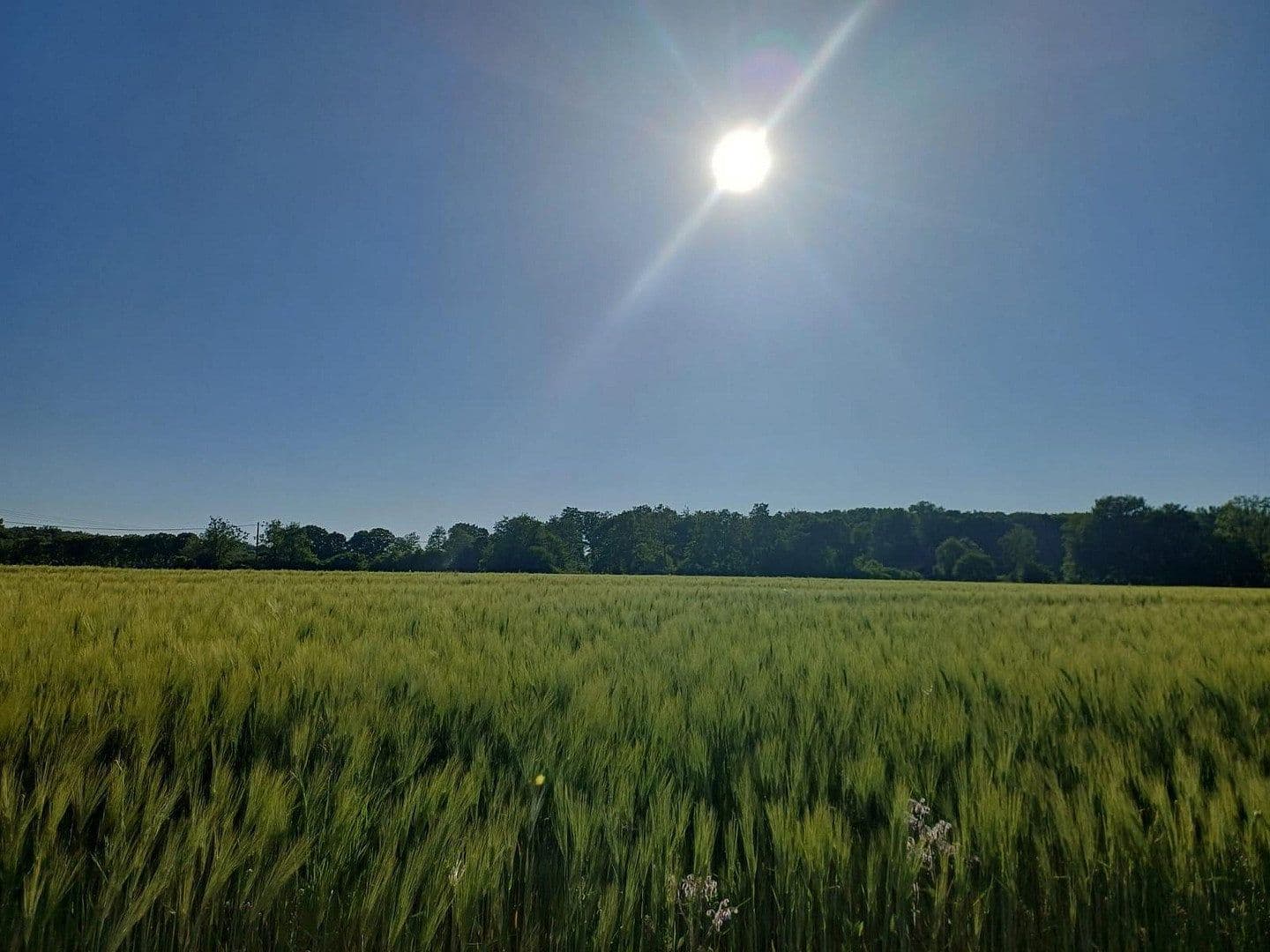 house for sale, 390 m², Münster Wolbeck, North Rhine-Westphalia house for sale, 390 m², Münster Wolbeck, North Rhine-Westphalia