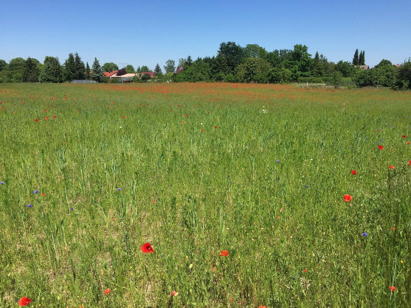 house for sale, 275 m², Templin, Brandenburg house for sale, 275 m², Templin, Brandenburg