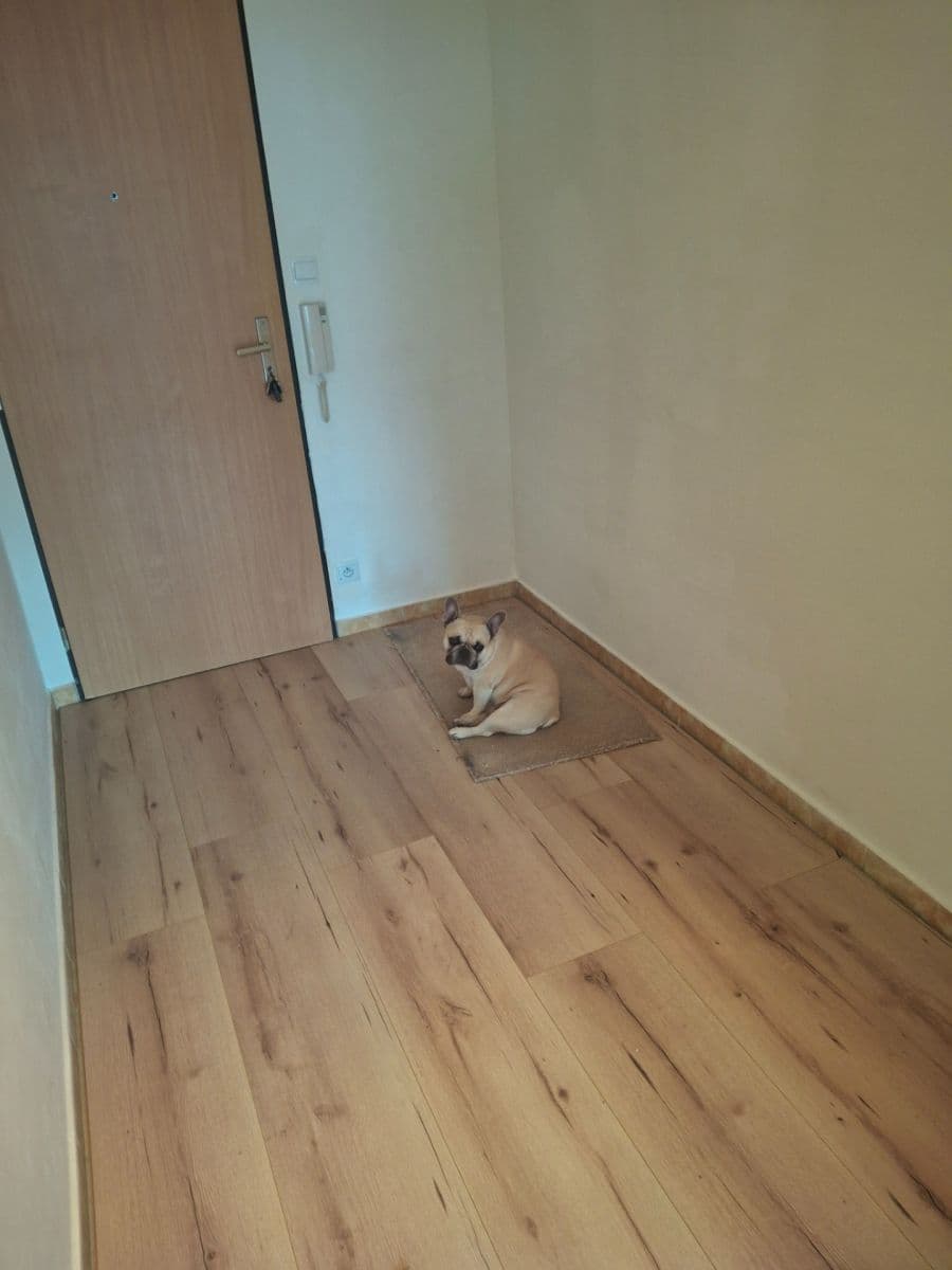 1 bedroom with open-plan kitchen flat to rent, 48 m², Werichova, Prague, Prague 1 bedroom with open-plan kitchen flat to rent, 48 m², Werichova, Prague, Prague