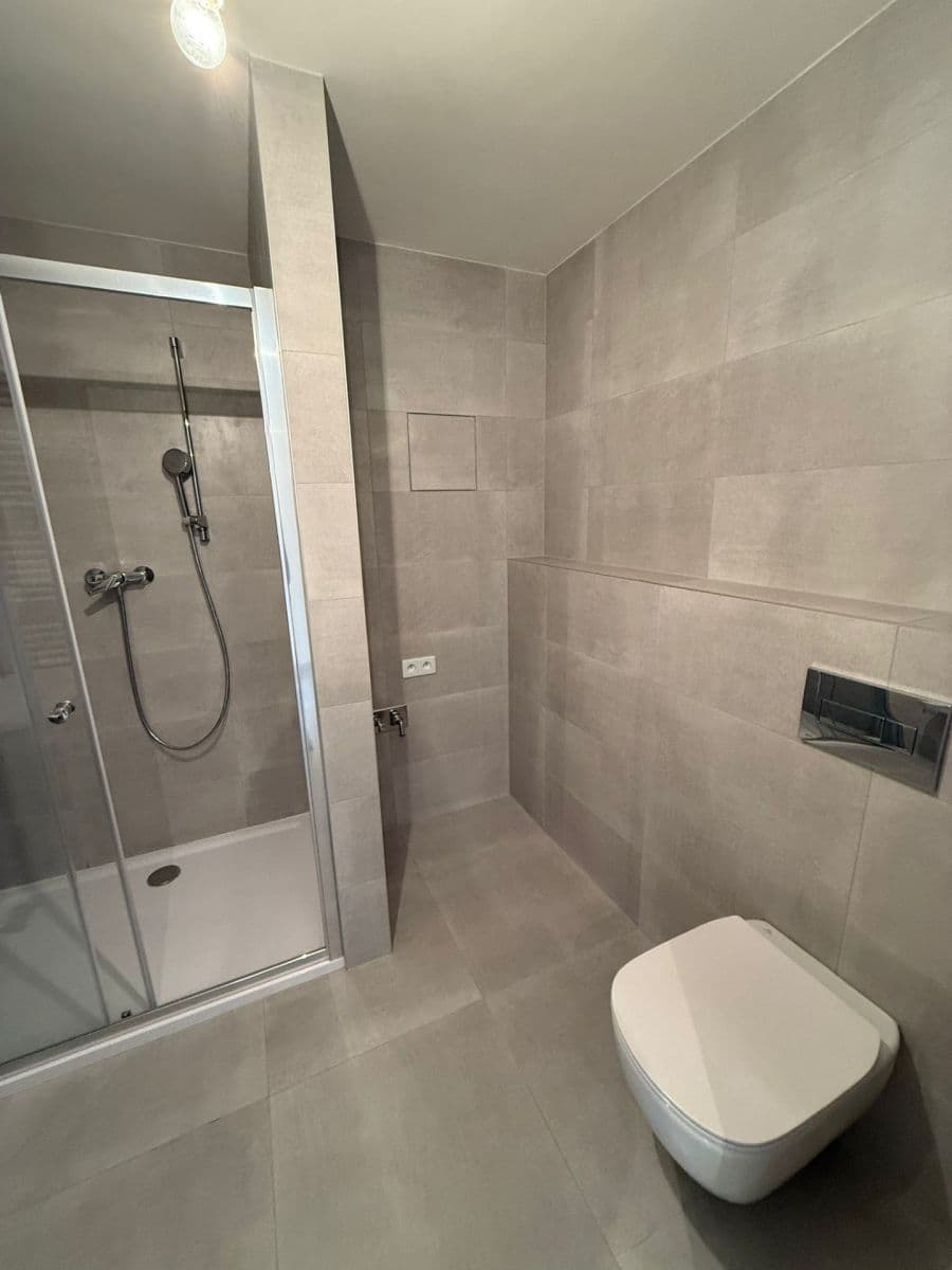 1 bedroom with open-plan kitchen flat to rent, 52 m², Hodkovická, Prague, Prague 1 bedroom with open-plan kitchen flat to rent, 52 m², Hodkovická, Prague, Prague