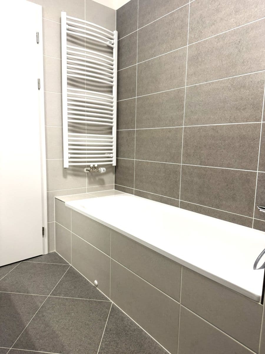 1 bedroom with open-plan kitchen flat to rent, 50 m², Honzíkova, Prague, Prague 1 bedroom with open-plan kitchen flat to rent, 50 m², Honzíkova, Prague, Prague