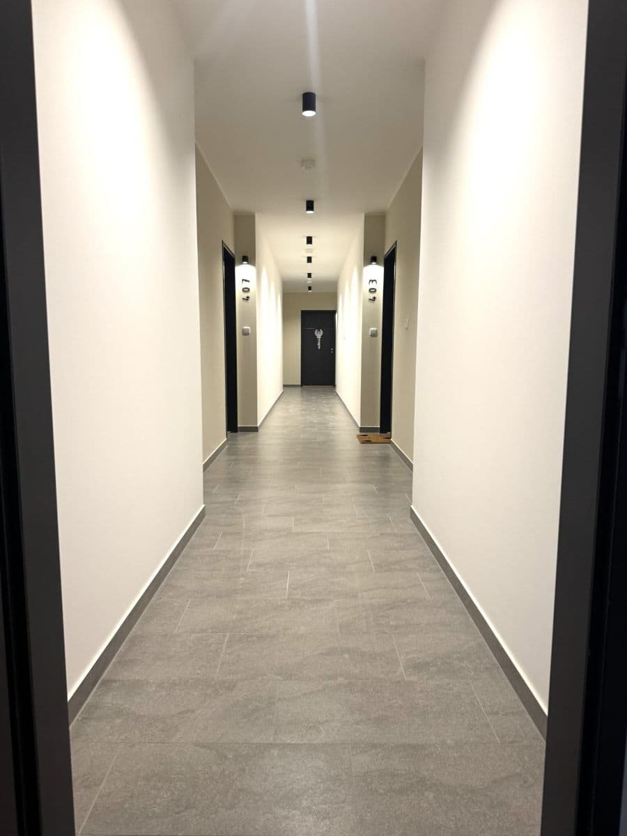 1 bedroom with open-plan kitchen flat to rent, 50 m², Honzíkova, Prague, Prague 1 bedroom with open-plan kitchen flat to rent, 50 m², Honzíkova, Prague, Prague