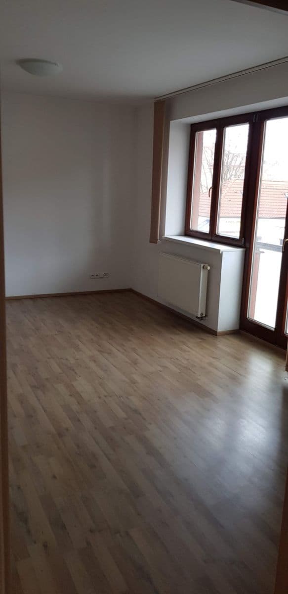 1 bedroom with open-plan kitchen flat to rent, 42 m², Klapkova, Prague, Prague 1 bedroom with open-plan kitchen flat to rent, 42 m², Klapkova, Prague, Prague