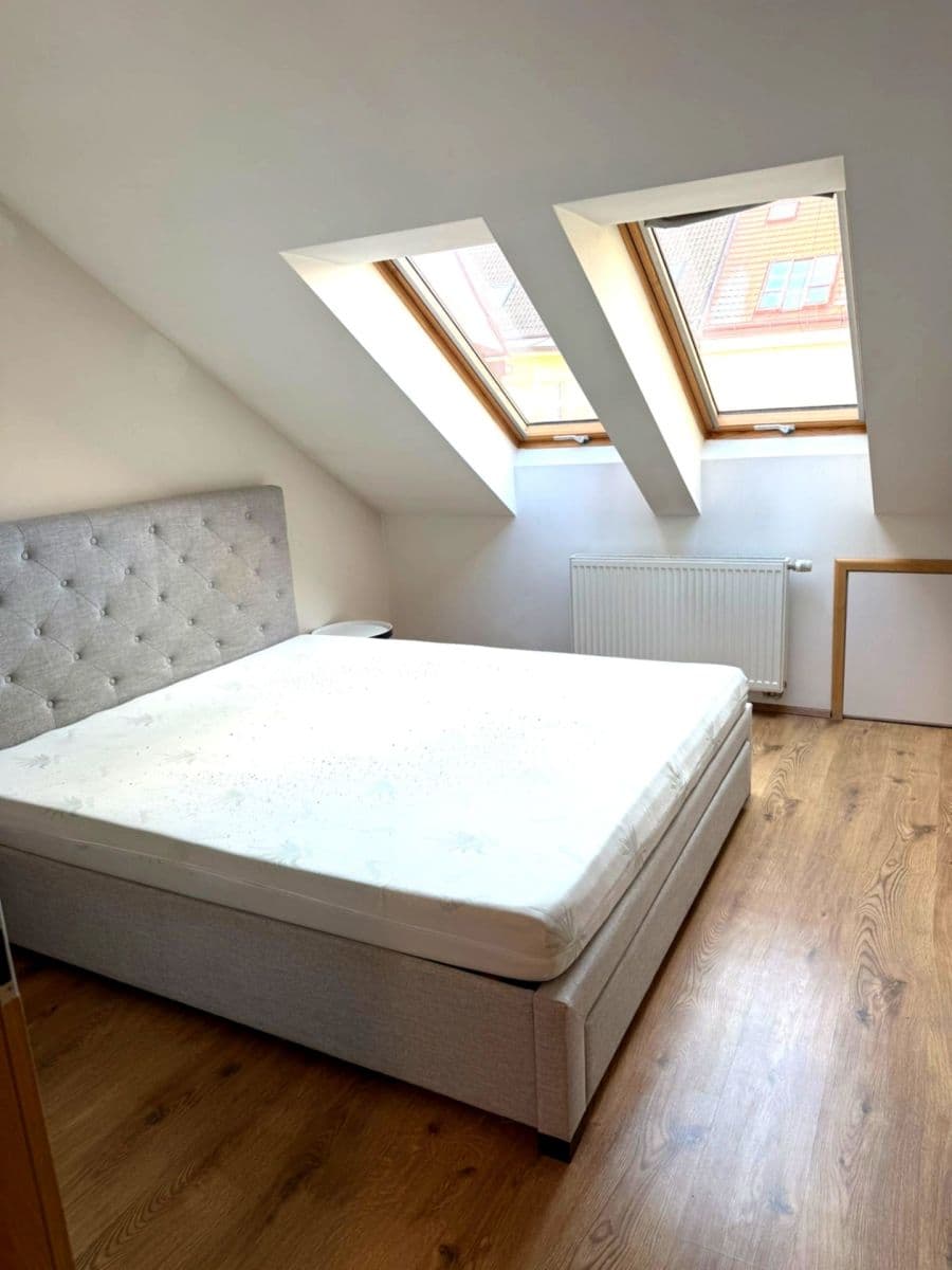 1 bedroom with open-plan kitchen flat to rent, 50 m², Sudoměřská, Prague, Prague 1 bedroom with open-plan kitchen flat to rent, 50 m², Sudoměřská, Prague, Prague