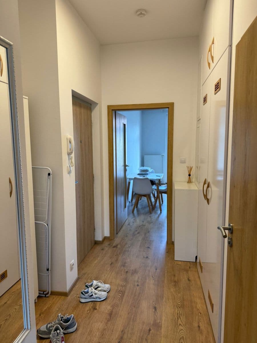 1 bedroom with open-plan kitchen flat to rent, 50 m², Sudoměřská, Prague, Prague 1 bedroom with open-plan kitchen flat to rent, 50 m², Sudoměřská, Prague, Prague