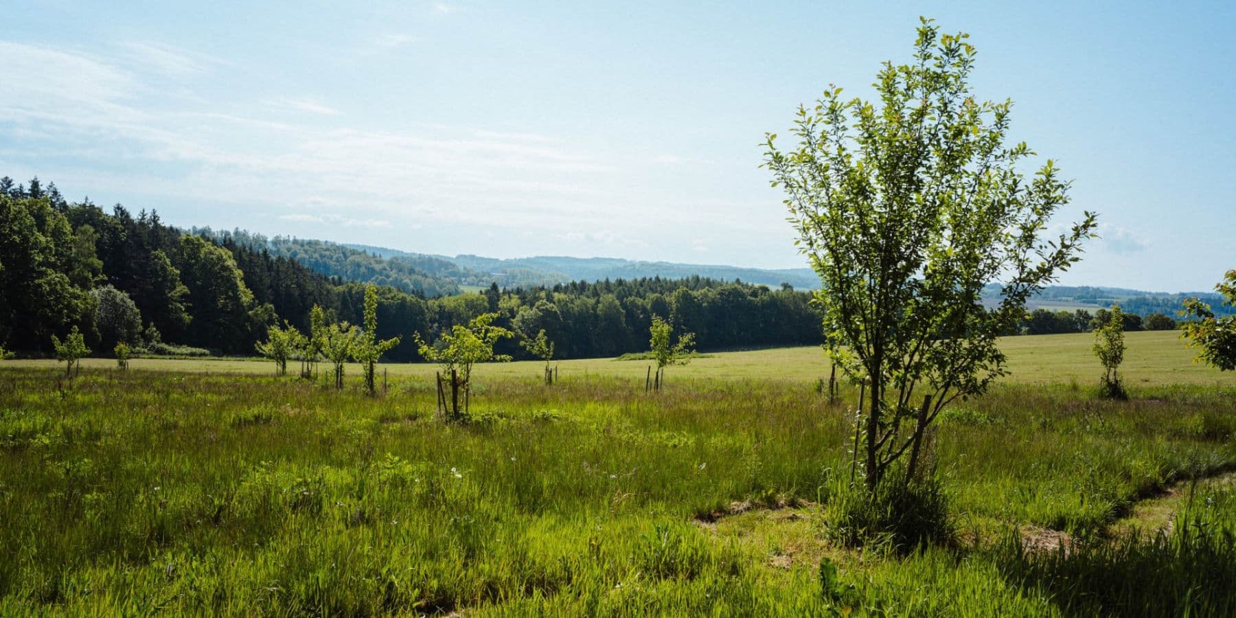 plot for sale, 126,783 m², Žirov, Vysočina Region plot for sale, 126,783 m², Žirov, Vysočina Region