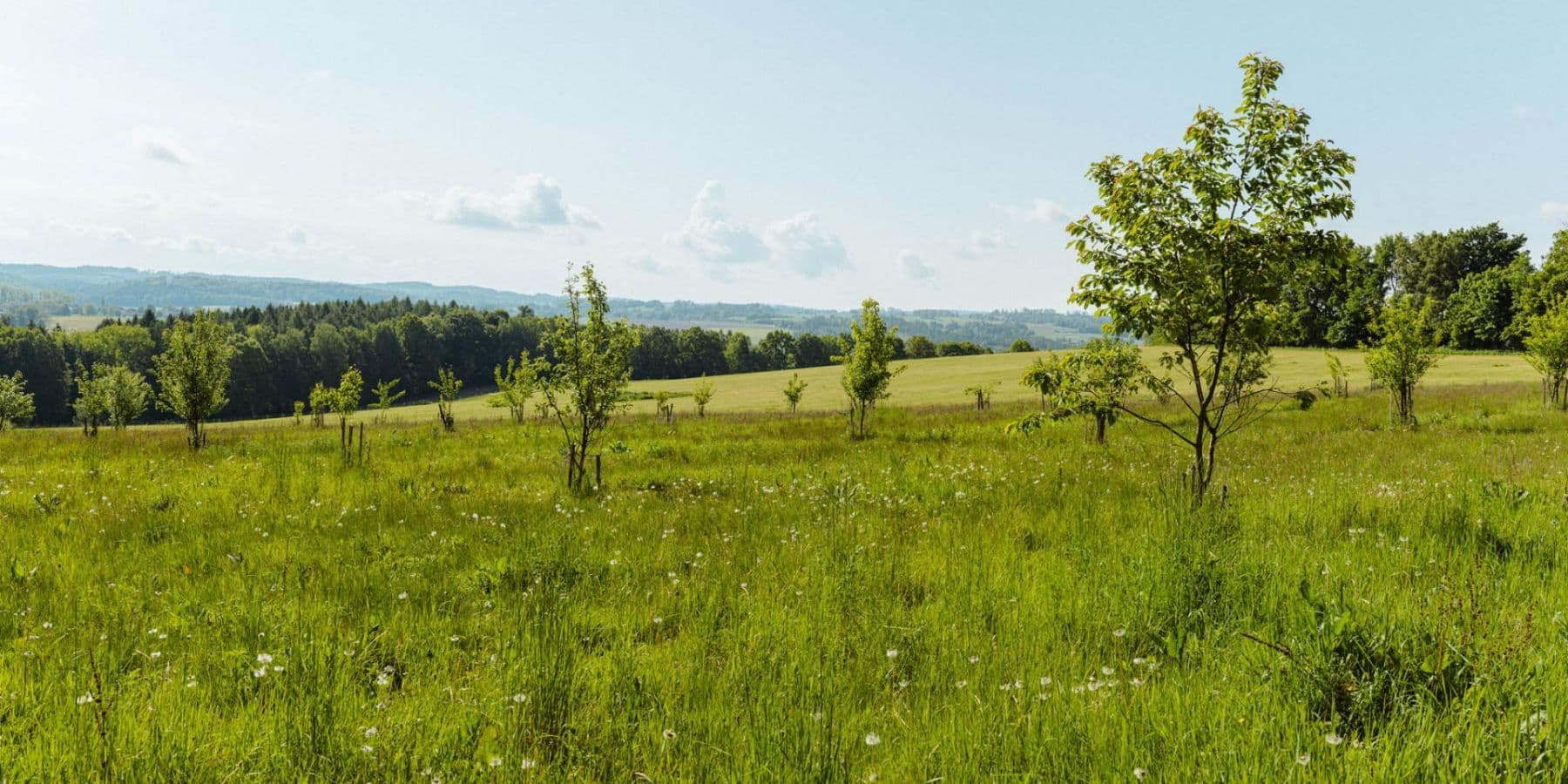 plot for sale, 126,783 m², Žirov, Vysočina Region plot for sale, 126,783 m², Žirov, Vysočina Region