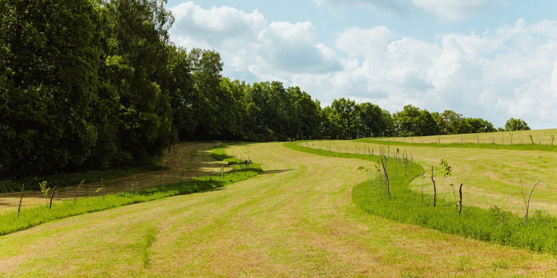 plot for sale, 126,783 m², Žirov, Vysočina Region plot for sale, 126,783 m², Žirov, Vysočina Region