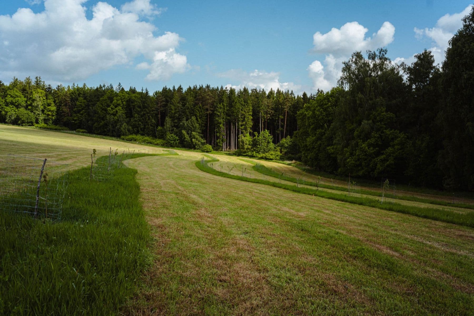 plot for sale, 126,783 m², Žirov, Vysočina Region plot for sale, 126,783 m², Žirov, Vysočina Region