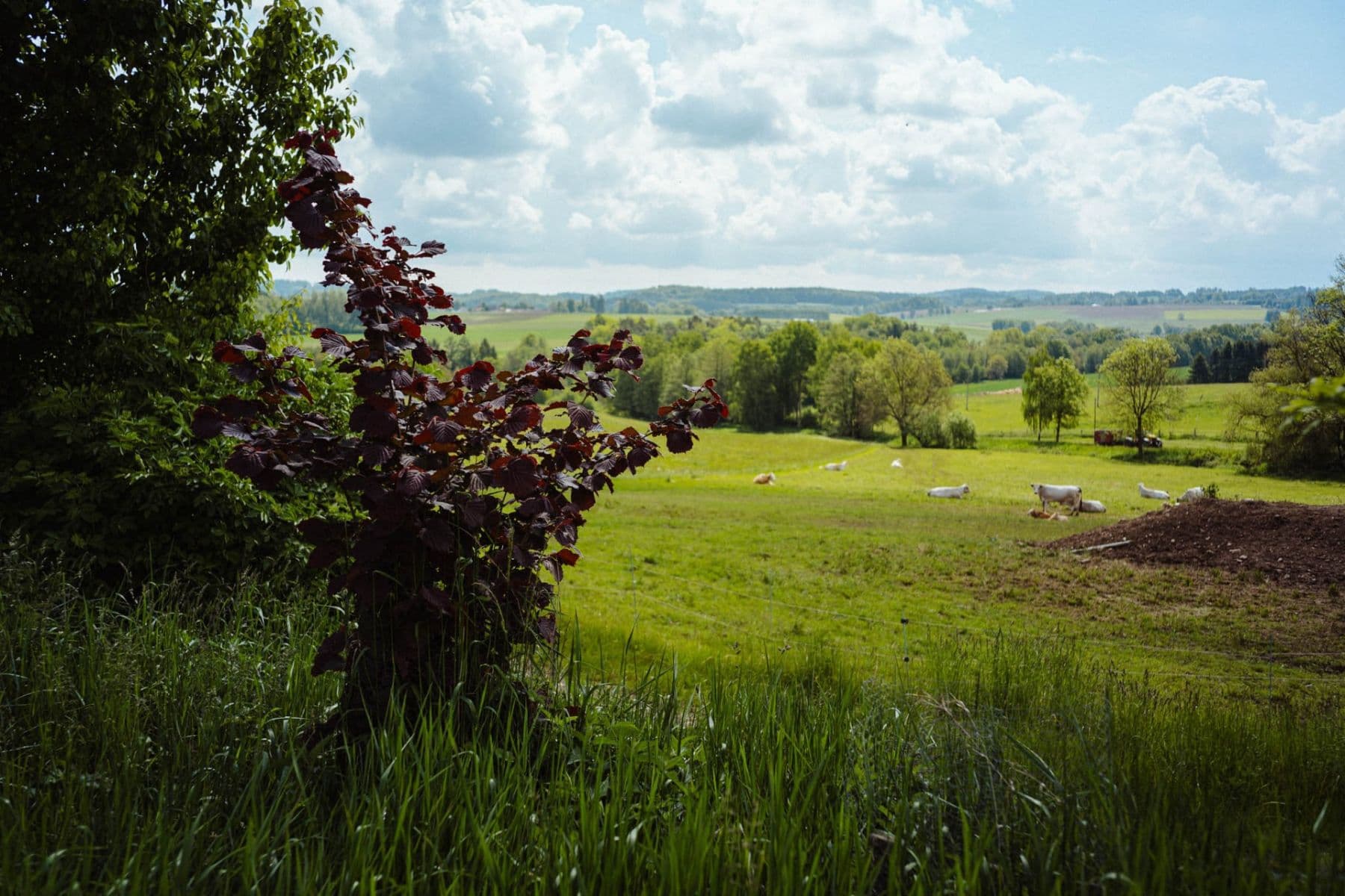 plot for sale, 126,783 m², Žirov, Vysočina Region plot for sale, 126,783 m², Žirov, Vysočina Region