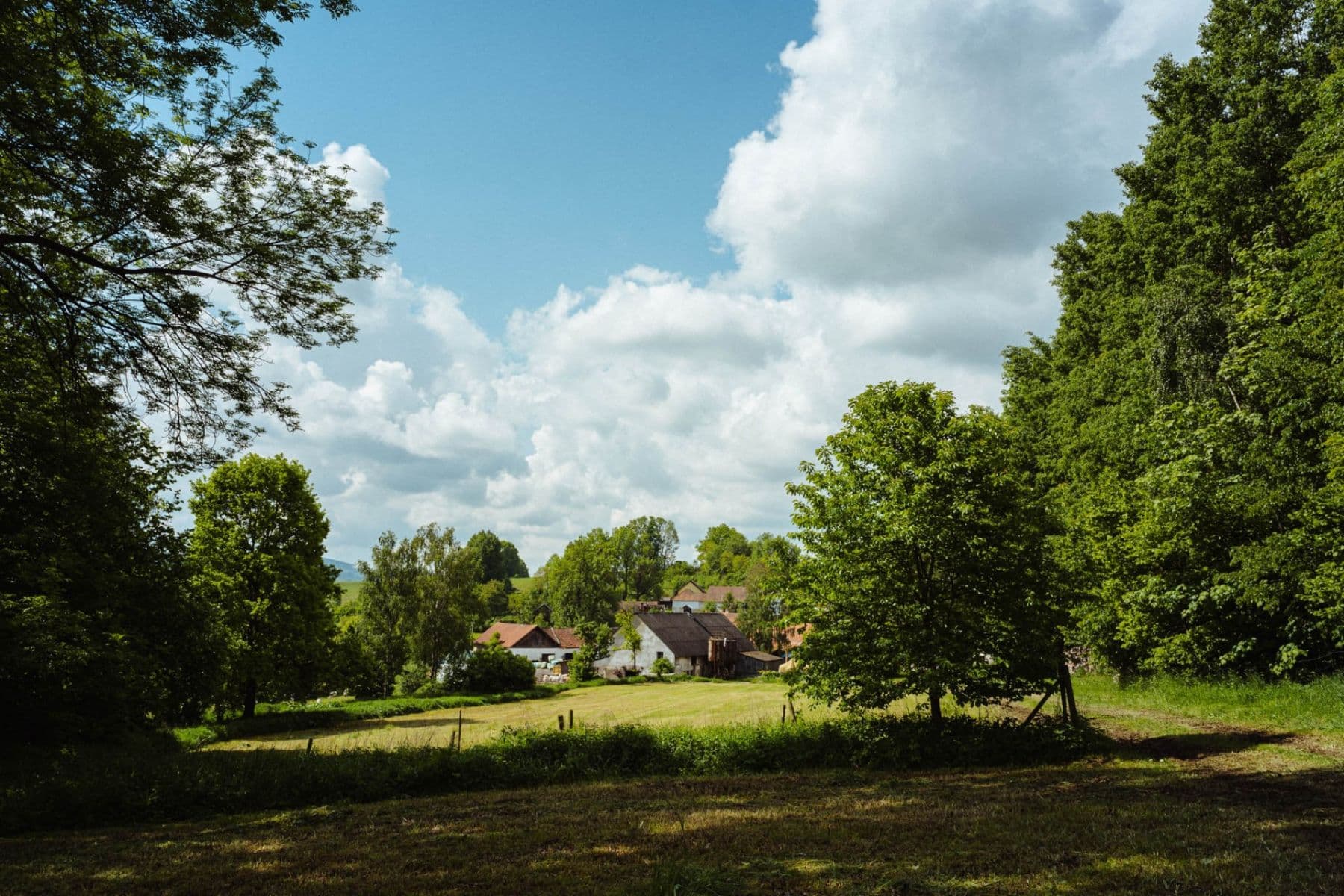 plot for sale, 126,783 m², Žirov, Vysočina Region plot for sale, 126,783 m², Žirov, Vysočina Region