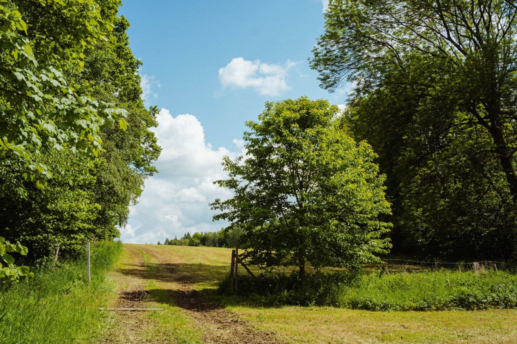 plot for sale, 126,783 m², Žirov, Vysočina Region plot for sale, 126,783 m², Žirov, Vysočina Region