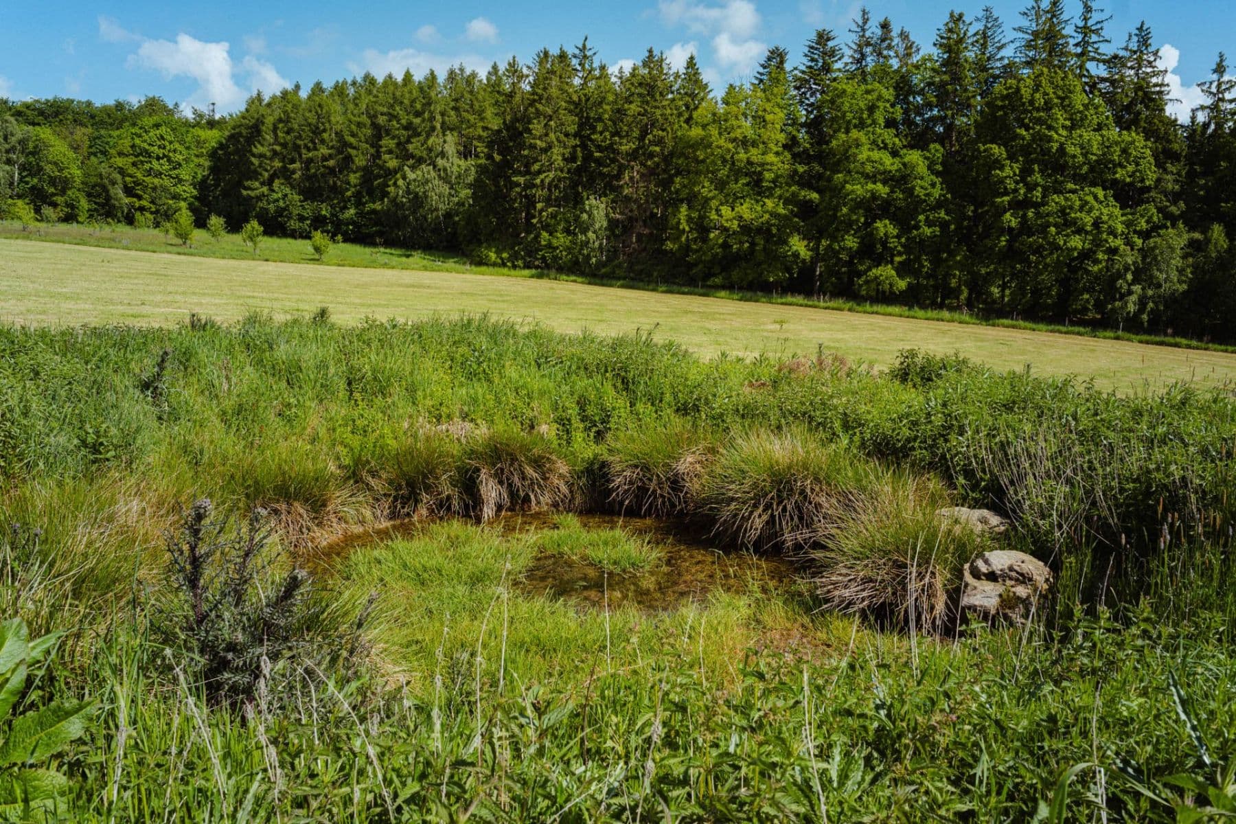 plot for sale, 126,783 m², Žirov, Vysočina Region plot for sale, 126,783 m², Žirov, Vysočina Region