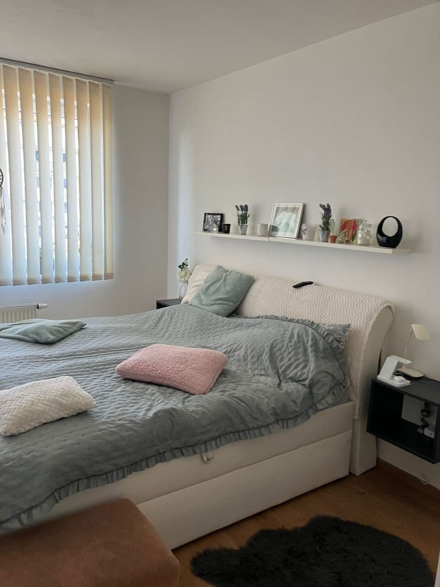 2 bedroom with open-plan kitchen flat to rent, 70 m², Rižská, Prague, Prague 2 bedroom with open-plan kitchen flat to rent, 70 m², Rižská, Prague, Prague