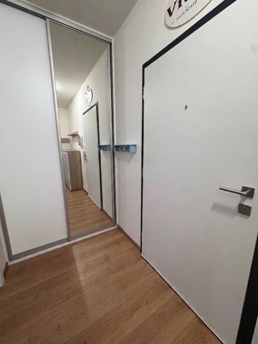 1 bedroom with open-plan kitchen flat to rent, 51 m², Rižská, Prague, Prague 1 bedroom with open-plan kitchen flat to rent, 51 m², Rižská, Prague, Prague