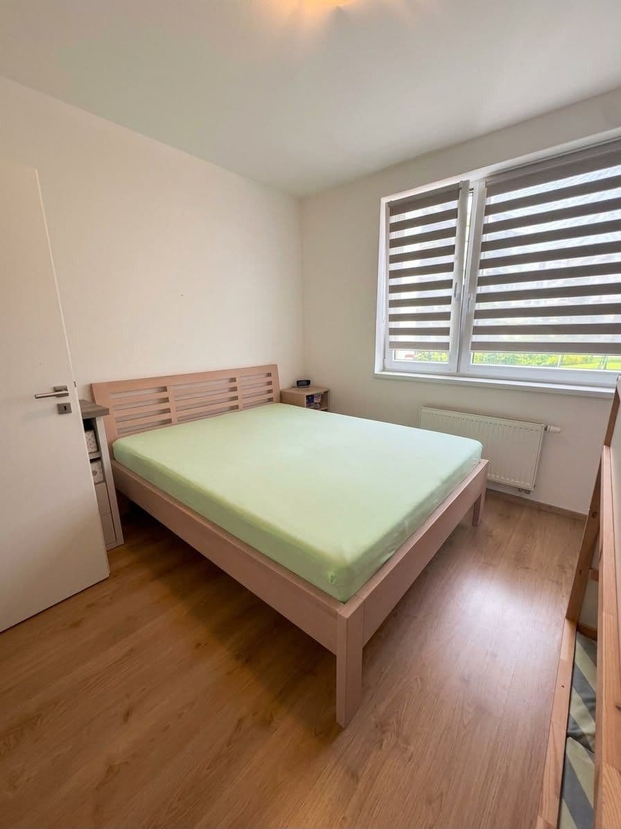 1 bedroom with open-plan kitchen flat to rent, 51 m², Rižská, Prague, Prague 1 bedroom with open-plan kitchen flat to rent, 51 m², Rižská, Prague, Prague