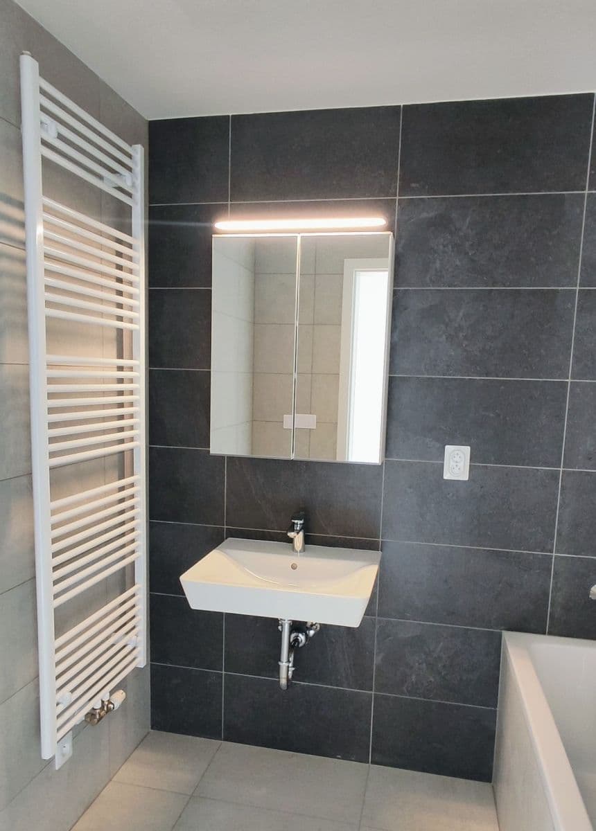 1 bedroom with open-plan kitchen flat to rent, 48 m², Spolková, Brno, Jihomoravský Region 1 bedroom with open-plan kitchen flat to rent, 48 m², Spolková, Brno, Jihomoravský Region