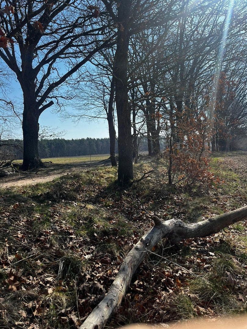 house for sale, 120 m², Lüneburg, Lower Saxony house for sale, 120 m², Lüneburg, Lower Saxony