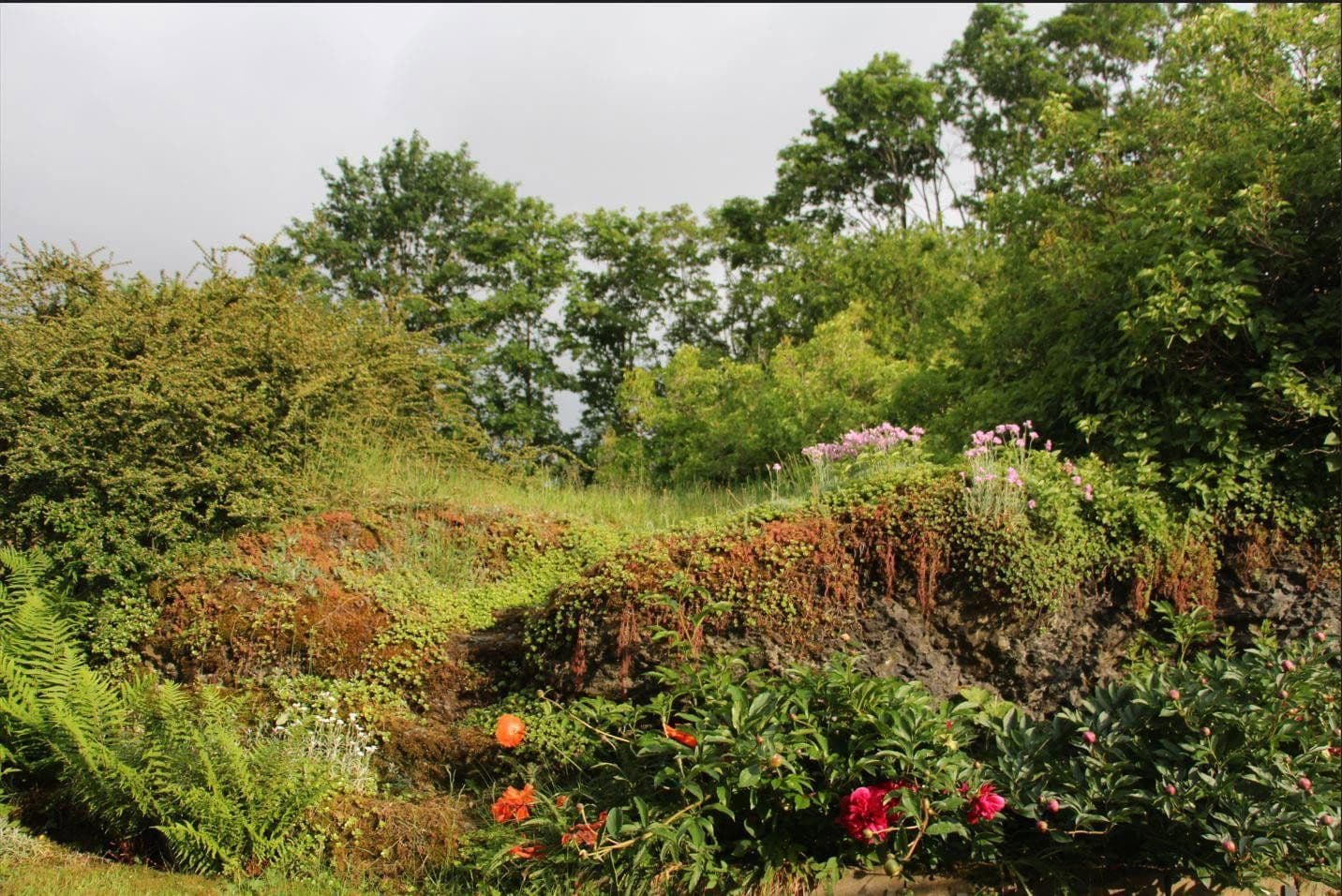 house for sale, 111 m², Selbitz, Bavaria house for sale, 111 m², Selbitz, Bavaria