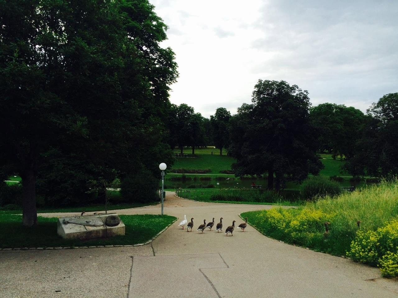 2 bedroom with open-plan kitchen flat to rent, 85 m², Stuttgart, Baden-Württemberg 2 bedroom with open-plan kitchen flat to rent, 85 m², Stuttgart, Baden-Württemberg