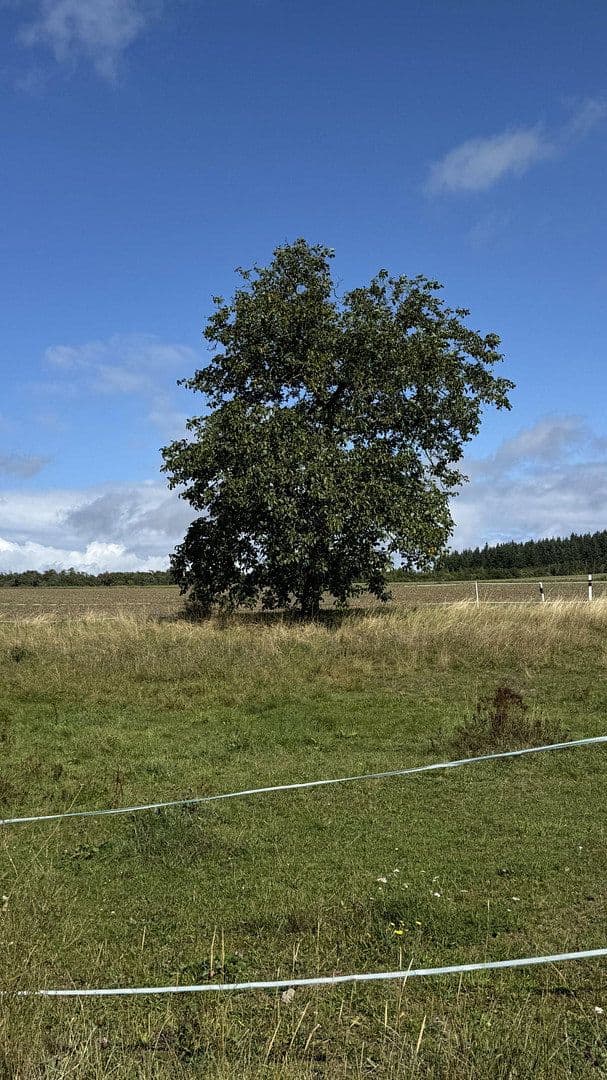 plot for sale, 789 m², Brunnenstraße 13, Weidenbach, Rhineland-Palatinate plot for sale, 789 m², Brunnenstraße 13, Weidenbach, Rhineland-Palatinate