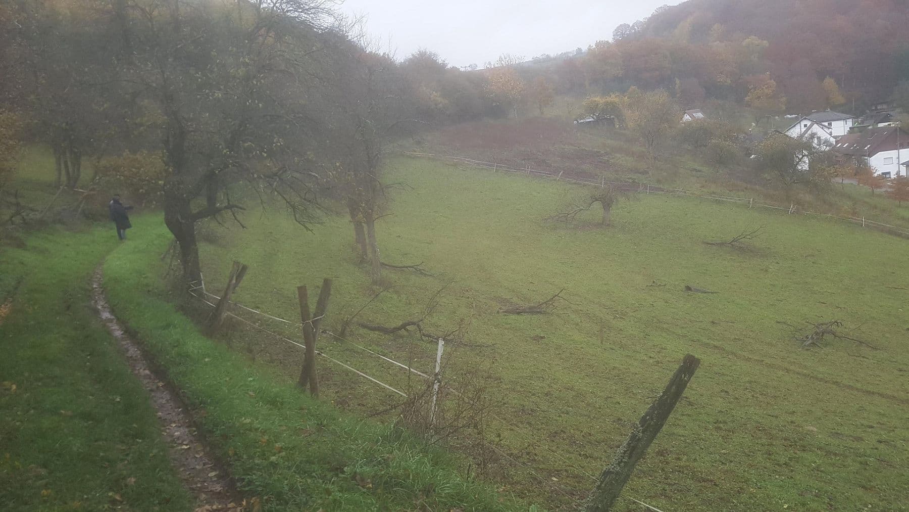 plot for sale, 4,701 m², Waldstraße 25 - 27, Ulmet, Rhineland-Palatinate plot for sale, 4,701 m², Waldstraße 25 - 27, Ulmet, Rhineland-Palatinate