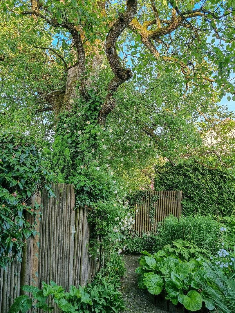 house for sale, 215 m², Böhmenkirch, Baden-Württemberg house for sale, 215 m², Böhmenkirch, Baden-Württemberg