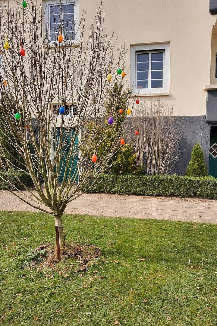 4 bedroom flat to rent, 96 m², Westring 31, Magdeburg, Saxony-Anhalt 4 bedroom flat to rent, 96 m², Westring 31, Magdeburg, Saxony-Anhalt