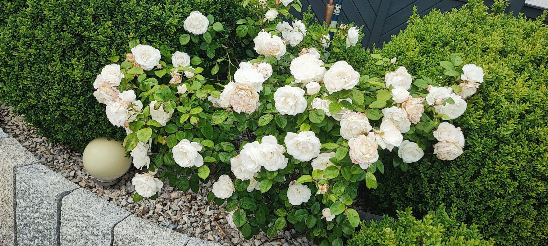 house for sale, 340 m², Schönberg (Holstein), Schleswig-Holstein house for sale, 340 m², Schönberg (Holstein), Schleswig-Holstein