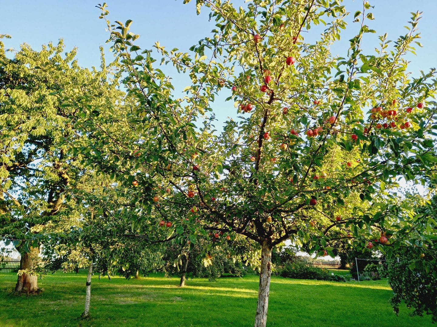 house for sale, 329 m², St. Egidien, Saxony house for sale, 329 m², St. Egidien, Saxony